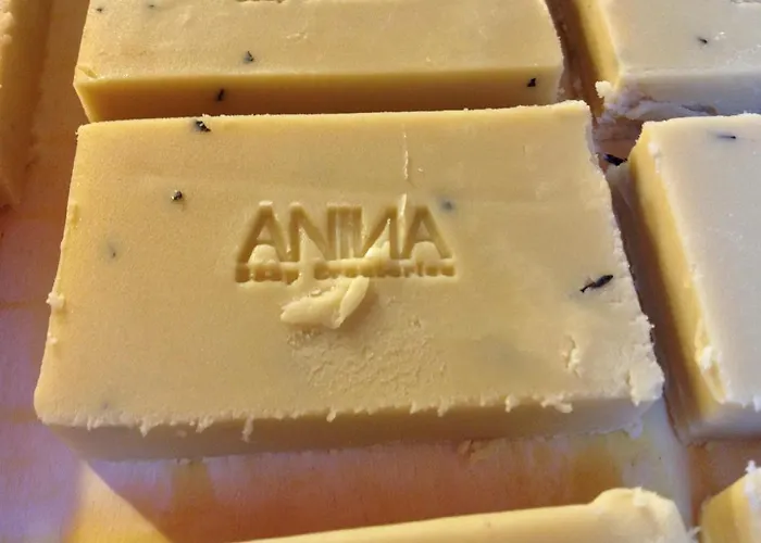 Heaven At 11, Your Deluxe With Personal Bathroom, Kitchenette & Terrace Bed & Breakfast Gent