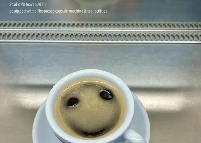 Heaven At 11, Your Deluxe With Personal Bathroom, Kitchenette & Terrace 3* Gent